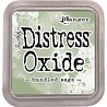 Ranger Distress Oxide Ink Pad Bundled Sage (TDO55853) Ranger Distress Oxide Ink Pad Bundled Sage (TDO55853)