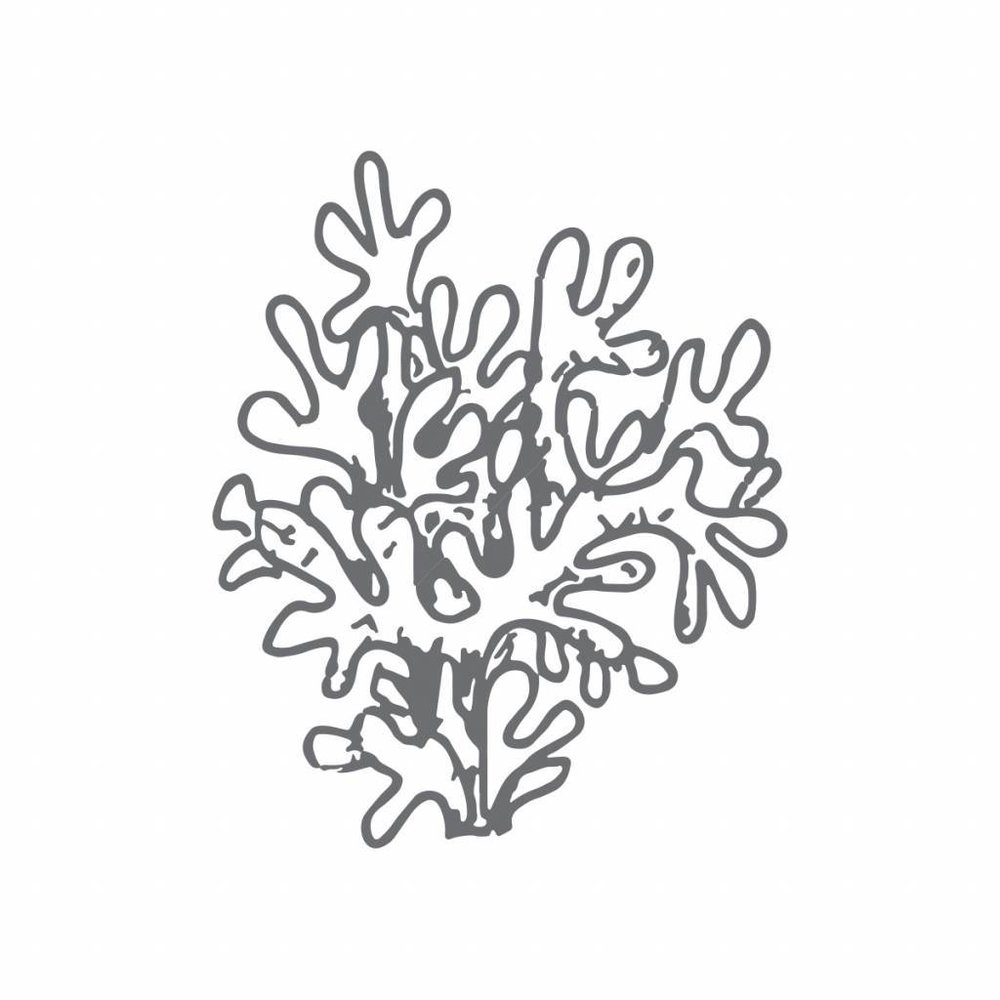 Couture Creations Coral Mini Clear Stamp (CO726155) Couture Creations Coral Mini Clear Stamp (CO726155)