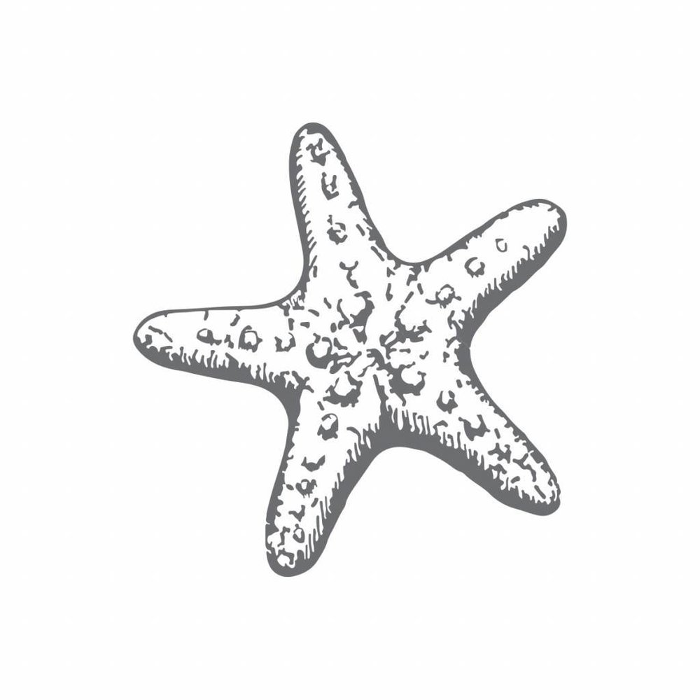 Couture Creations Starfish Mini Clear Stamp (CO726163) Couture Creations Starfish Mini Clear Stamp (CO726163)