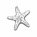 Couture Creations Starfish Mini Clear Stamp (CO726163)