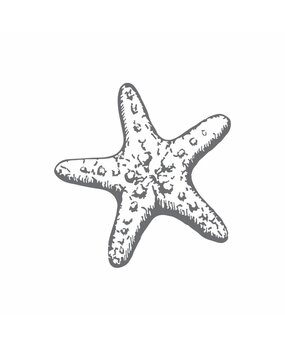 Couture Creations Starfish Mini Clear Stamp (CO726163) Couture Creations Starfish Mini Clear Stamp (CO726163)