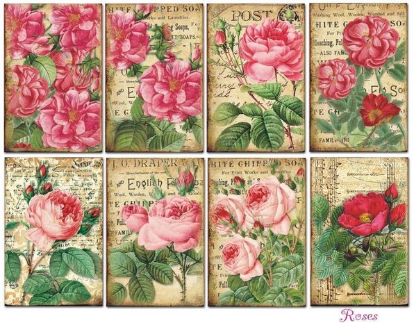 Decorer Roses Paper Pack (7x10,8cm) (M37) Decorer Roses Paper Pack (7x10,8cm) (M37)