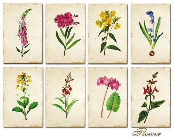 Decorer Flower Paper Pack (7x10,8cm) (M54) Decorer Flower Paper Pack (7x10,8cm) (M54)