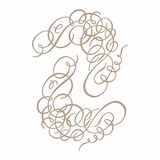 Spellbinders Flourishes Frame Glimmer Hot Foil Plate (GLP-025)