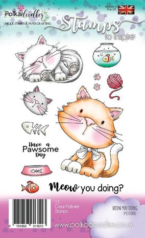 Polkadoodles Meow You Doing Clear Stamps (PD7265) Polkadoodles Meow You Doing Clear Stamps (PD7265)