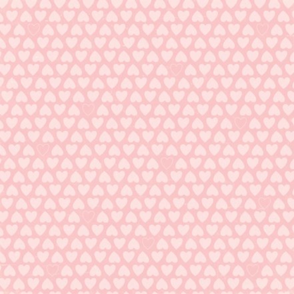 Echo Park Bundle Of Joy 2 Girl 12x12 Inch Collection Kit (BJGT79016) Echo Park Bundle Of Joy 2 Girl 12x12 Inch Collection Kit (BJGT79016)