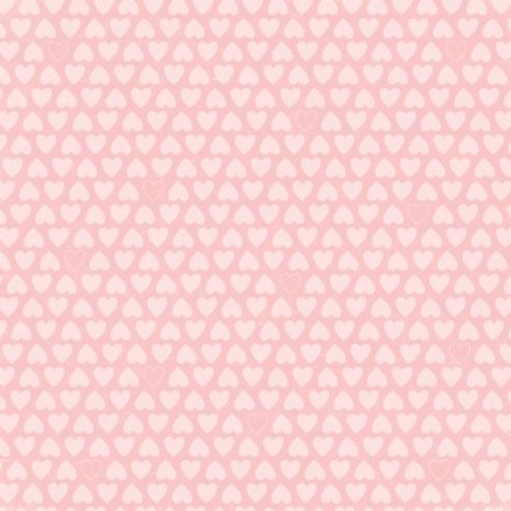 Echo Park Bundle Of Joy 2 Girl 12x12 Inch Collection Kit (BJGT79016) Echo Park Bundle Of Joy 2 Girl 12x12 Inch Collection Kit (BJGT79016)