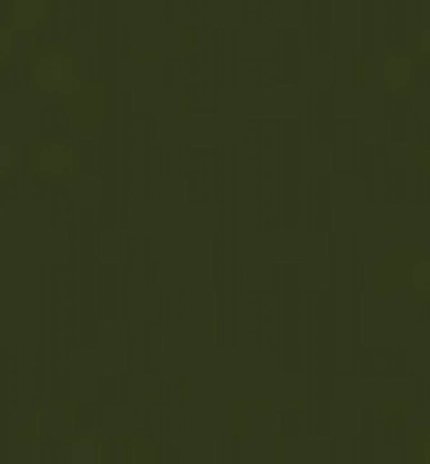 Tsukineko Versafine Olympia Green 1 Inch Pigment Ink Pad (VFS-61) Tsukineko Versafine Olympia Green 1 Inch Pigment Ink Pad (VFS-61)