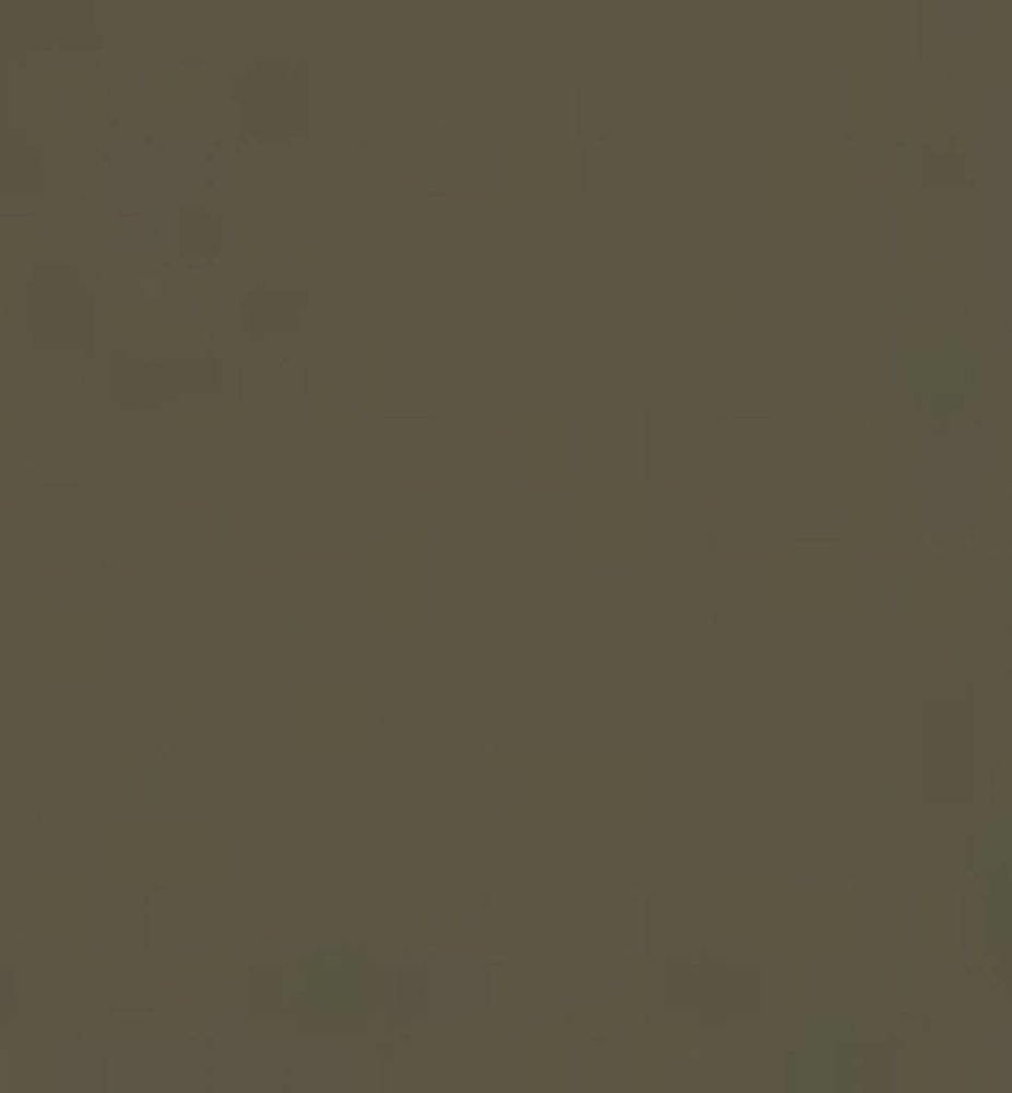 Tsukineko Versafine Smokey Gray 1 Inch Pigment Ink Pad (VFS-83)