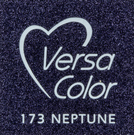 Tsukineko VersaColor 1 Inch Cube Ink Pad Neptune (VS-173)