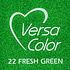 VersaColor 1 Inch Cube Ink Pad Fresh Green (VS-22)