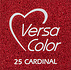 VersaColor 1 Inch Cube Ink Pad Cardinal (VS-25)