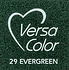 VersaColor 1 Inch Cube Ink Pad Evergreen (VS-29)