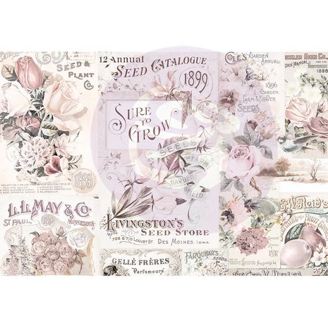 Prima Marketing Inc Lavender Frost 4x6 Inch Journaling Cards (634322)