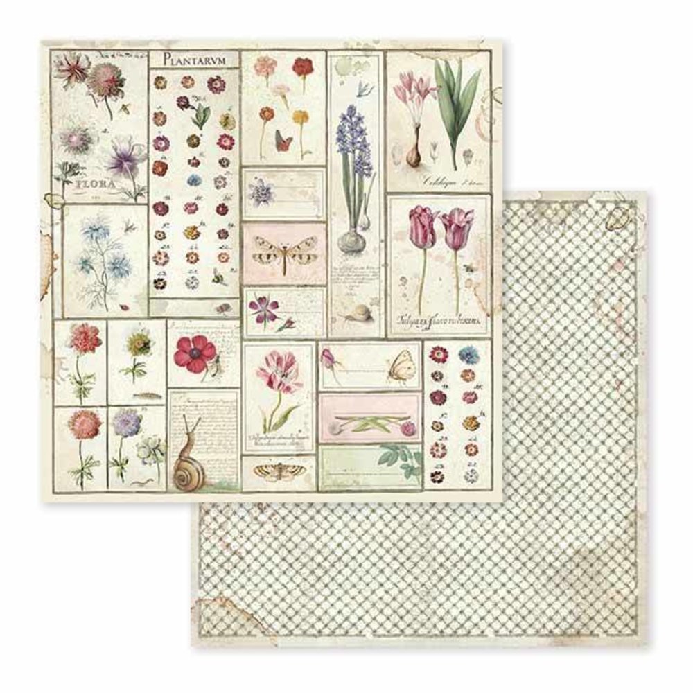 Stamperia Spring Botanic 12x12 Inch Paper Pack (SBBL50)