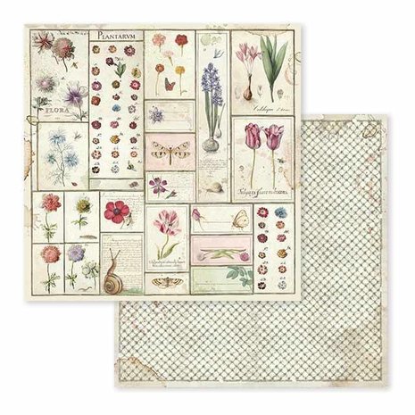 Stamperia Spring Botanic 12x12 Inch Paper Pack (SBBL50)