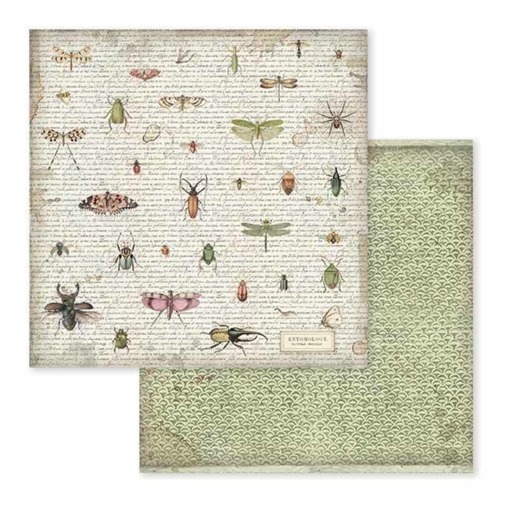 Stamperia Spring Botanic 12x12 Inch Paper Pack (SBBL50)