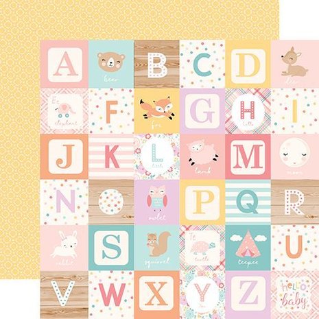 Echo Park Hello Baby Girl 12x12 Inch Collection Kit (BG171016)