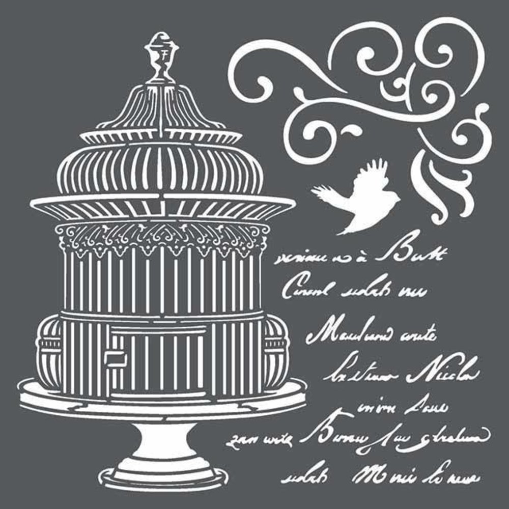 Stamperia Media Stencil Little Cage with Scriptures (KSTDQ21)