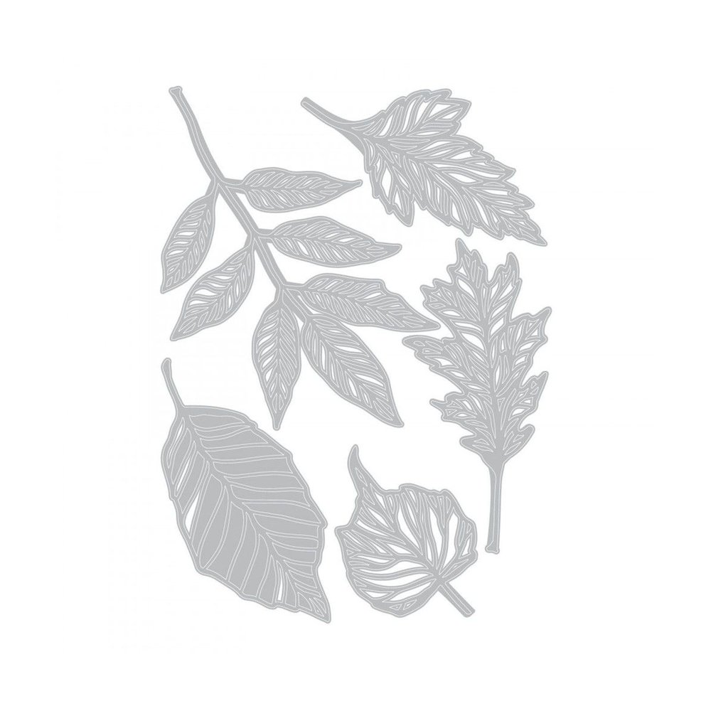 Sizzix Thinlits Alterations Skeleton Leaves (663094) Sizzix Thinlits Alterations Skeleton Leaves (663094)