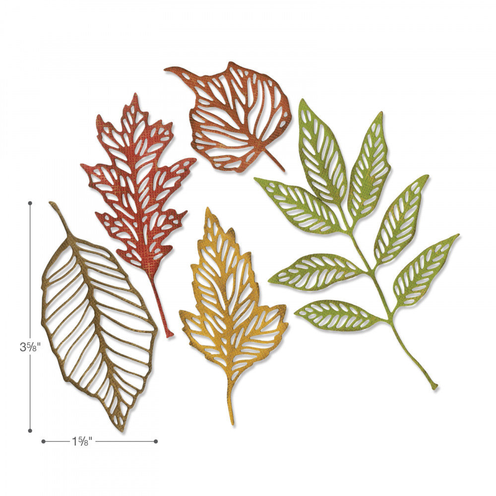 Sizzix Thinlits Alterations Skeleton Leaves (663094) Sizzix Thinlits Alterations Skeleton Leaves (663094)