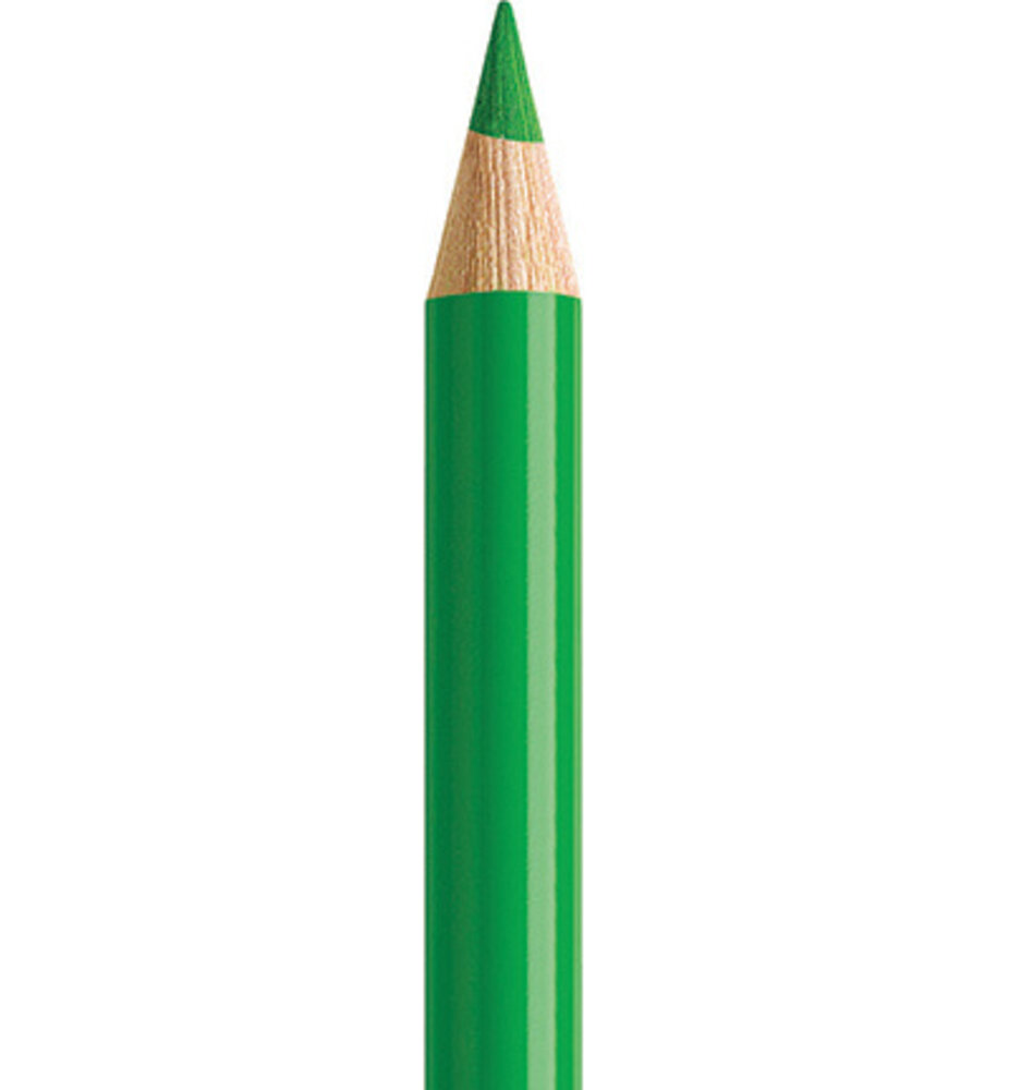Faber Castell Polychromos Kleurpotlood 112 Leaf Green (FC-110112) Faber Castell Polychromos Kleurpotlood 112 Leaf Green (FC-110112)
