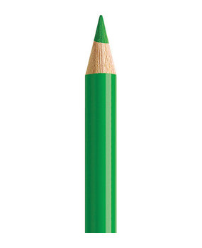 Faber Castell Polychromos Kleurpotlood 112 Leaf Green (FC-110112) Faber Castell Polychromos Kleurpotlood 112 Leaf Green (FC-110112)