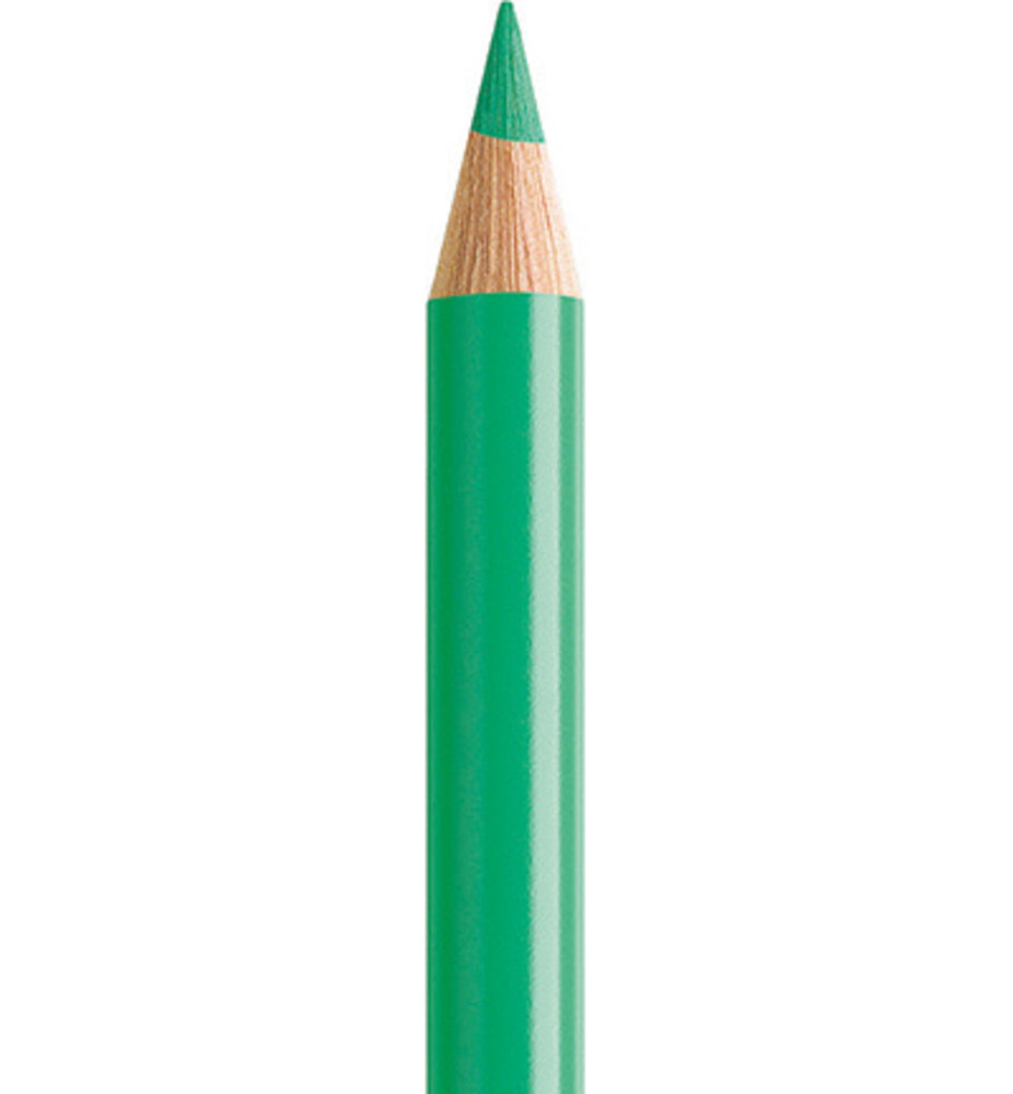 Faber Castell Polychromos Kleurpotlood 162 Light Phthalo Green (FC-110162)