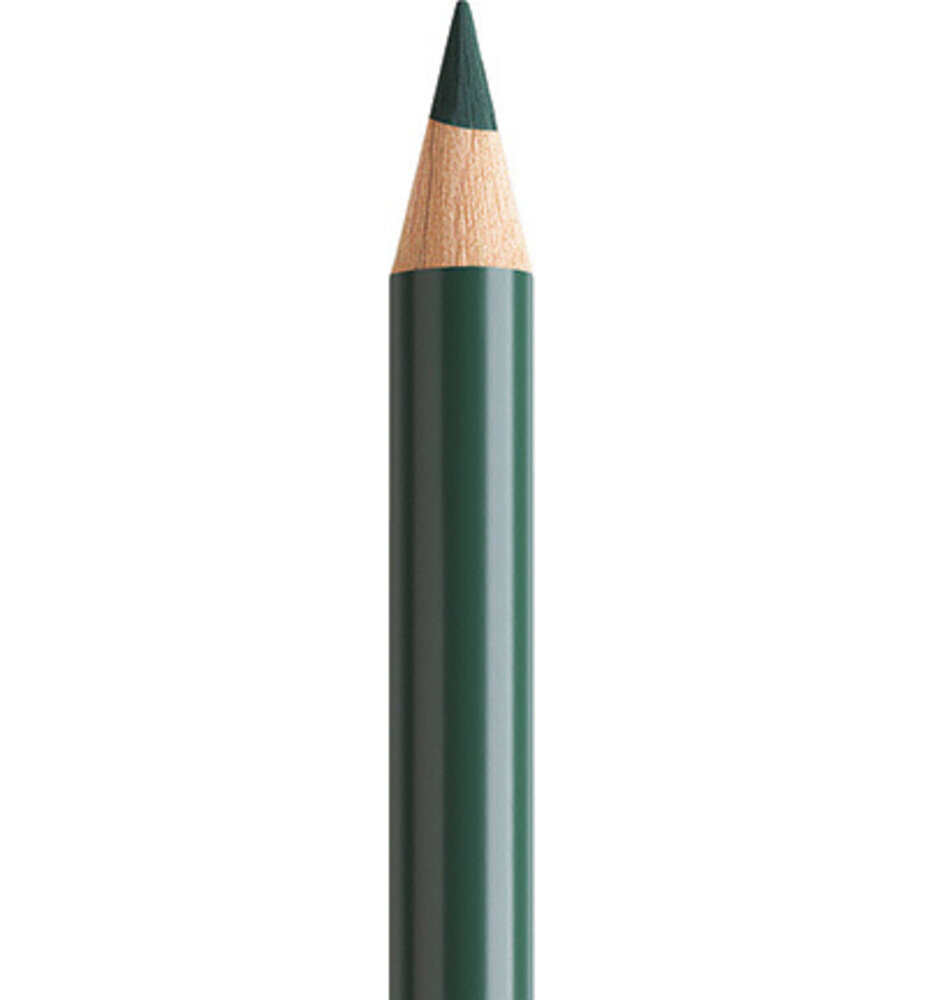 Faber Castell Polychromos Kleurpotlood 165 Juniper Green (FC-110165) Faber Castell Polychromos Kleurpotlood 165 Juniper Green (FC-110165)