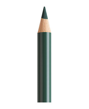 Faber Castell Polychromos Kleurpotlood 165 Juniper Green (FC-110165) Faber Castell Polychromos Kleurpotlood 165 Juniper Green (FC-110165)