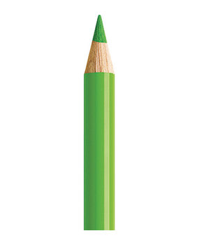 Faber Castell Polychromos Kleurpotlood 166 Grass Green (FC-110166) Faber Castell Polychromos Kleurpotlood 166 Grass Green (FC-110166)