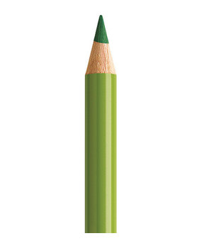 Faber Castell Polychromos Kleurpotlood 168 Earth Green Yellowish (FC-110168) Faber Castell Polychromos Kleurpotlood 168 Earth Green Yellowish (FC-110168)