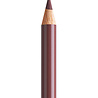 Faber Castell Polychromos Kleurpotlood 169 Caput Mortuum (FC-110169) Faber Castell Polychromos Kleurpotlood 169 Caput Mortuum (FC-110169)