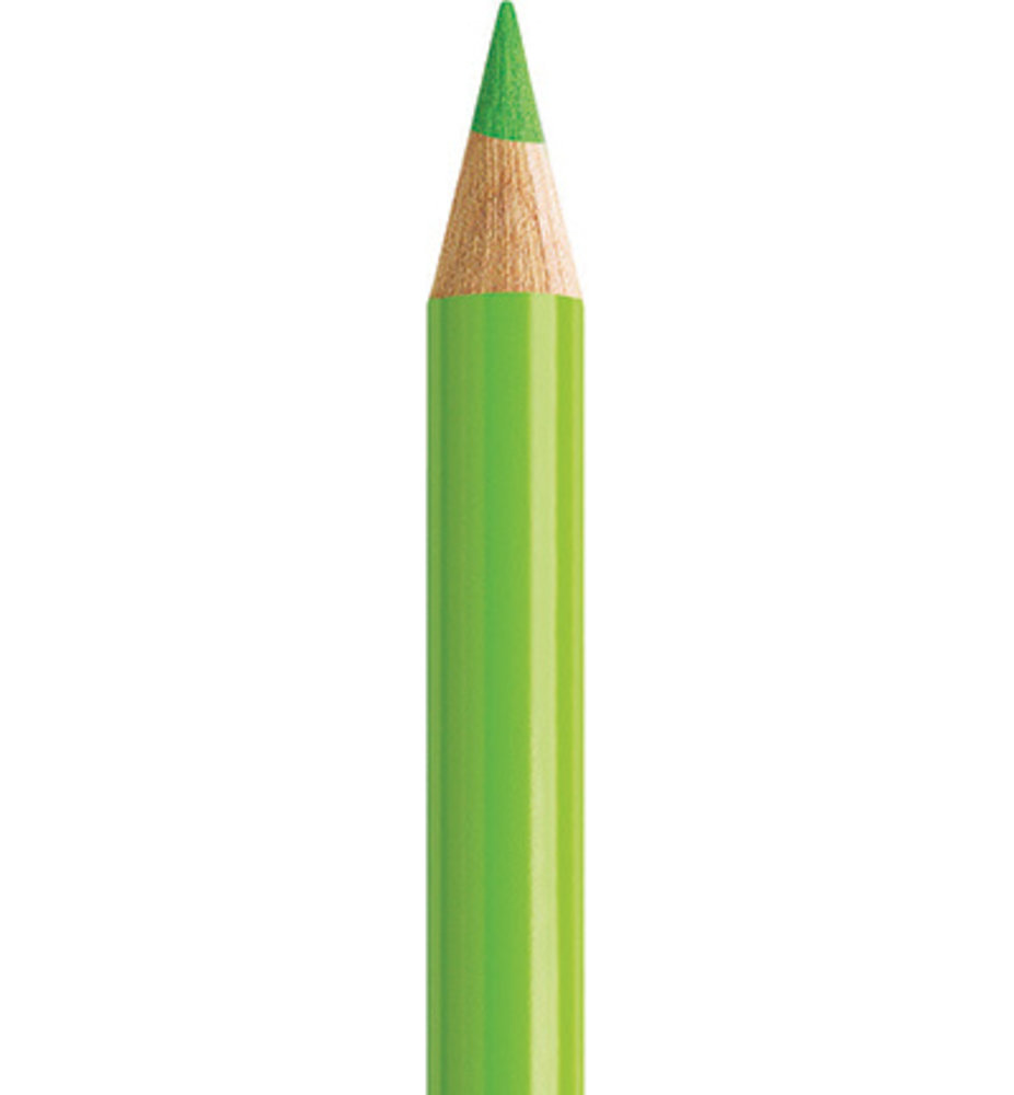 Faber Castell Polychromos Kleurpotlood 171 Light Green (FC-110171) Faber Castell Polychromos Kleurpotlood 171 Light Green (FC-110171)