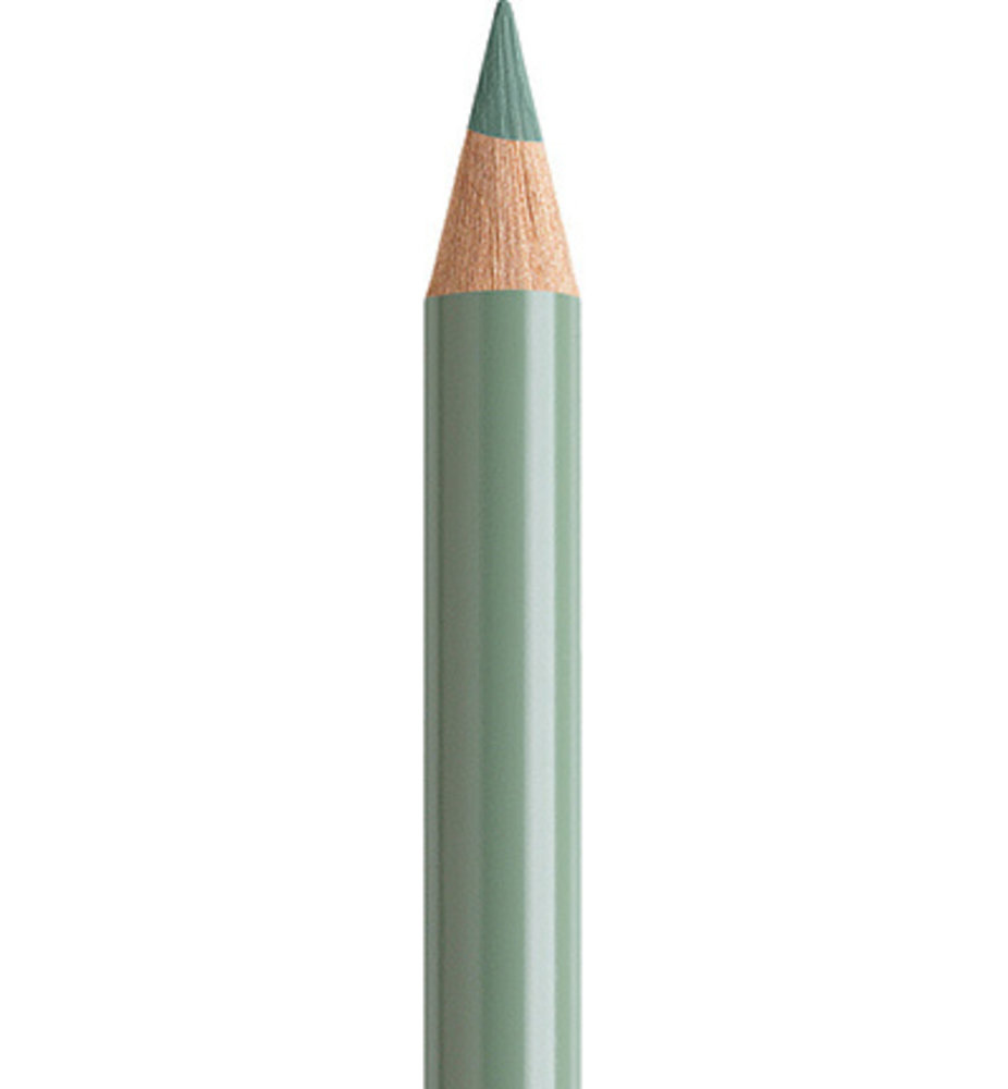 Faber Castell Polychromos Kleurpotlood 172 Earth Green (FC-110172)