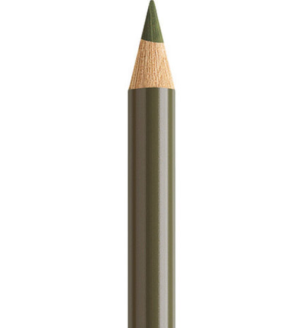 Faber Castell Polychromos Kleurpotlood 173 Olive Green Yellowish (FC-110173)