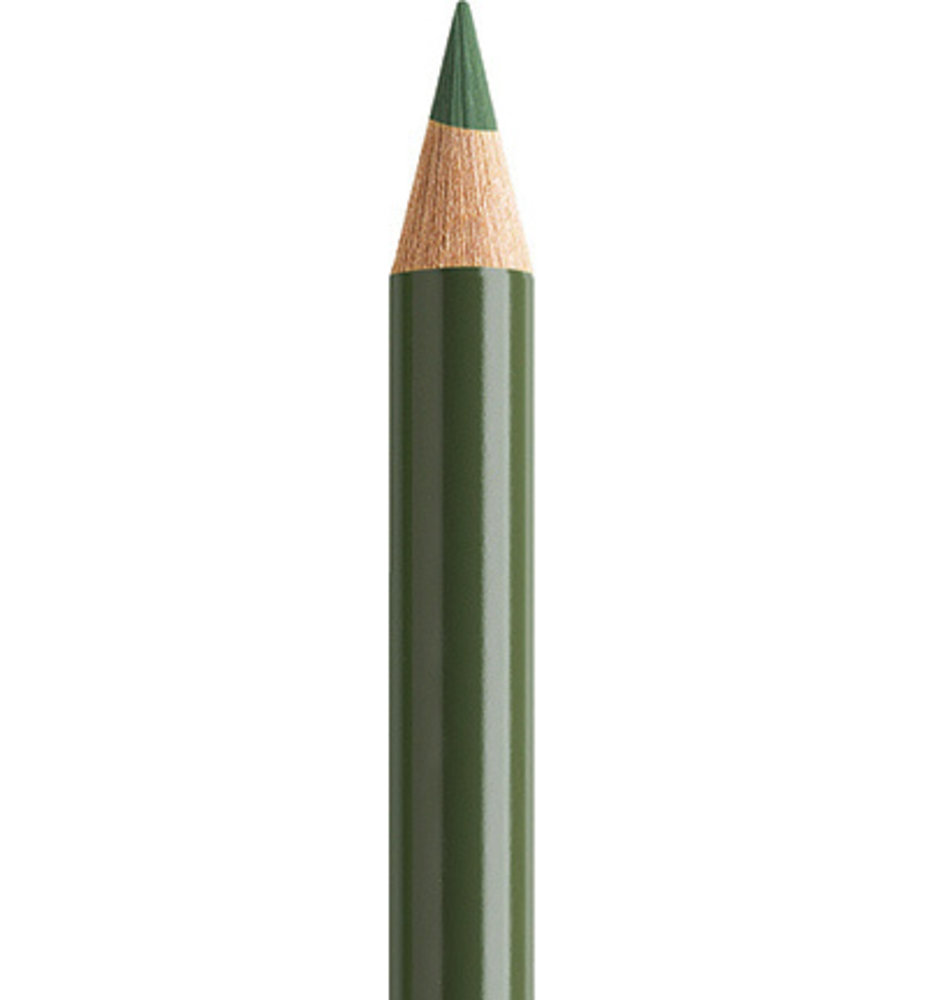 Faber Castell Polychromos Kleurpotlood 174 Chrome Green (FC-110174) Faber Castell Polychromos Kleurpotlood 174 Chrome Green (FC-110174)