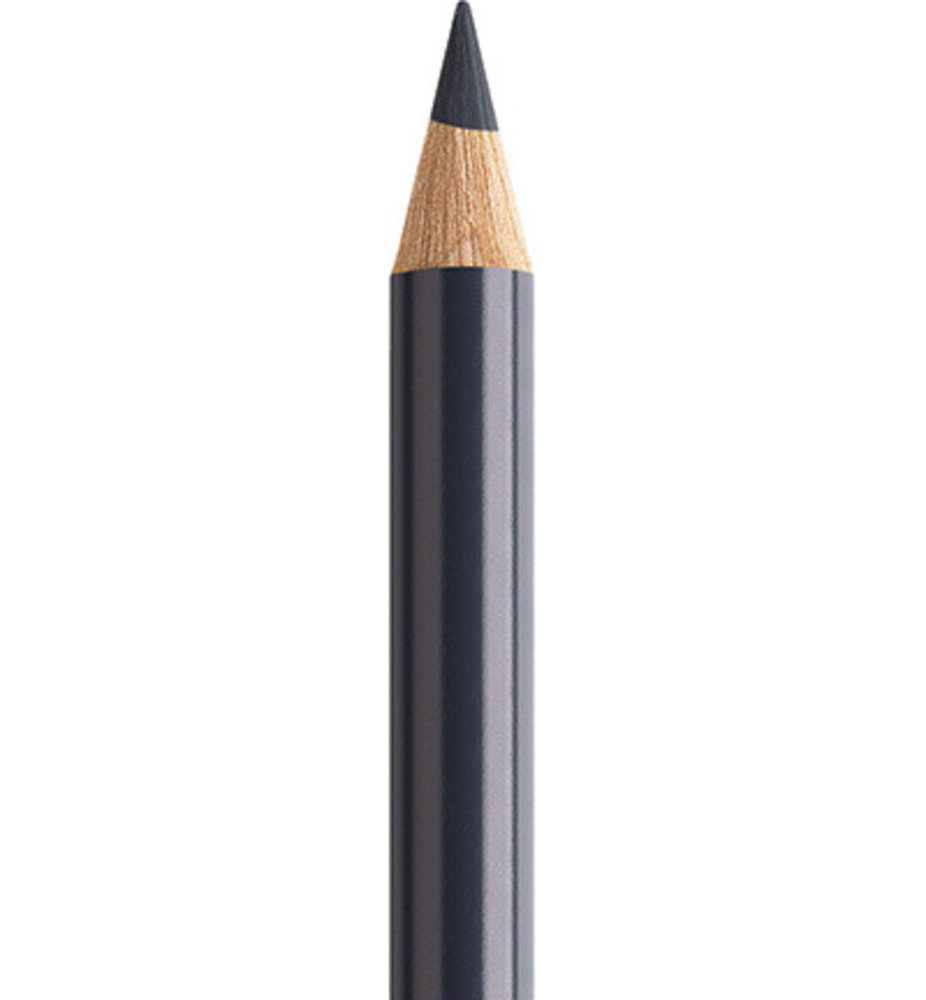 Faber Castell Polychromos Kleurpotlood 235 Cold Grey VI (FC-110235) Faber Castell Polychromos Kleurpotlood 235 Cold Grey VI (FC-110235)