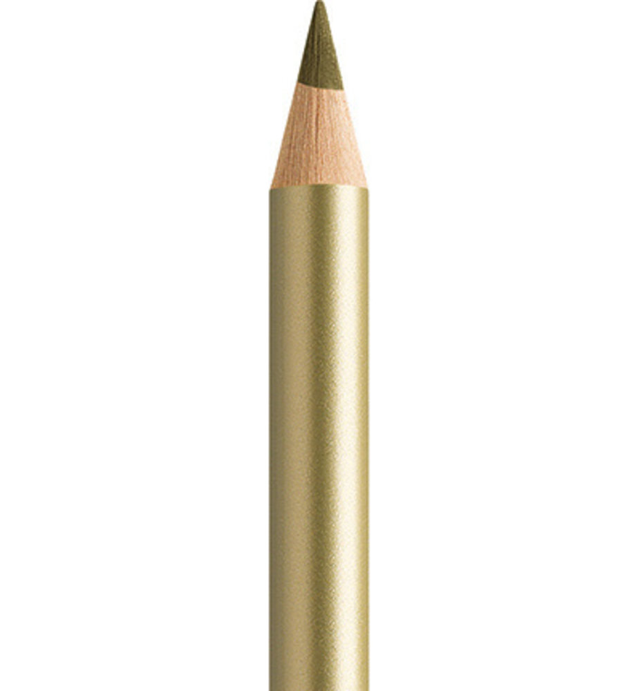 Faber Castell Polychromos Kleurpotlood 250 Gold (FC-110250) Faber Castell Polychromos Kleurpotlood 250 Gold (FC-110250)