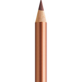 Faber Castell Polychromos Kleurpotlood 252 Copper (FC-110252)