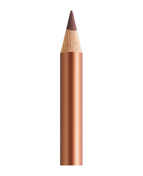 Faber Castell Polychromos Kleurpotlood 252 Copper (FC-110252) Faber Castell Polychromos Kleurpotlood 252 Copper (FC-110252)