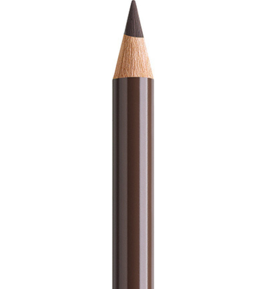 Faber Castell Polychromos Kleurpotlood 280 Burnt Umbre (FC-110280)