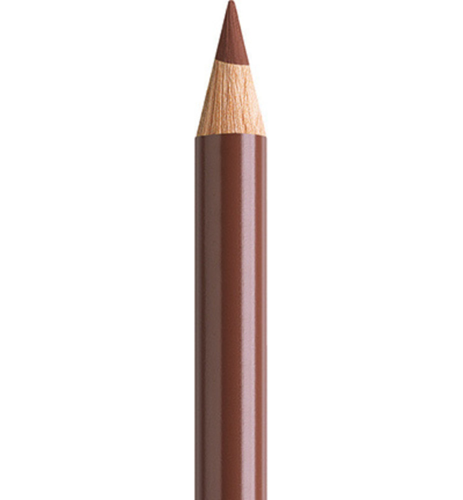 Faber Castell Polychromos Kleurpotlood 283 Burnt Sienna (FC-110283)