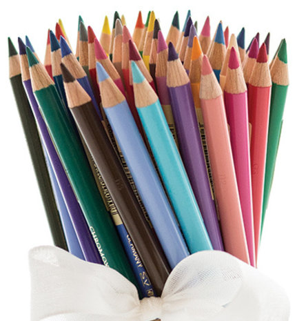 Faber Castell Polychromos Kleurpotlood 101 White (FC-110101) Faber Castell Polychromos Kleurpotlood 101 White (FC-110101)