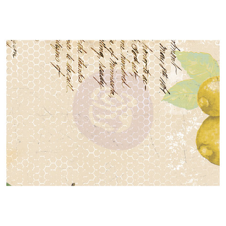 Prima Marketing Inc Fruit Paradise 4x6 Inch Journaling Cards (638405) Prima Marketing Inc Fruit Paradise 4x6 Inch Journaling Cards (638405)