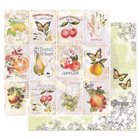 Prima Marketing Inc Fruit Paradise 4x6 Inch Journaling Cards (638405) Prima Marketing Inc Fruit Paradise 4x6 Inch Journaling Cards (638405)