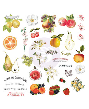Prima Marketing Inc Fruit Paradise Ephemera with Stickers (638429) Prima Marketing Inc Fruit Paradise Ephemera with Stickers (638429)