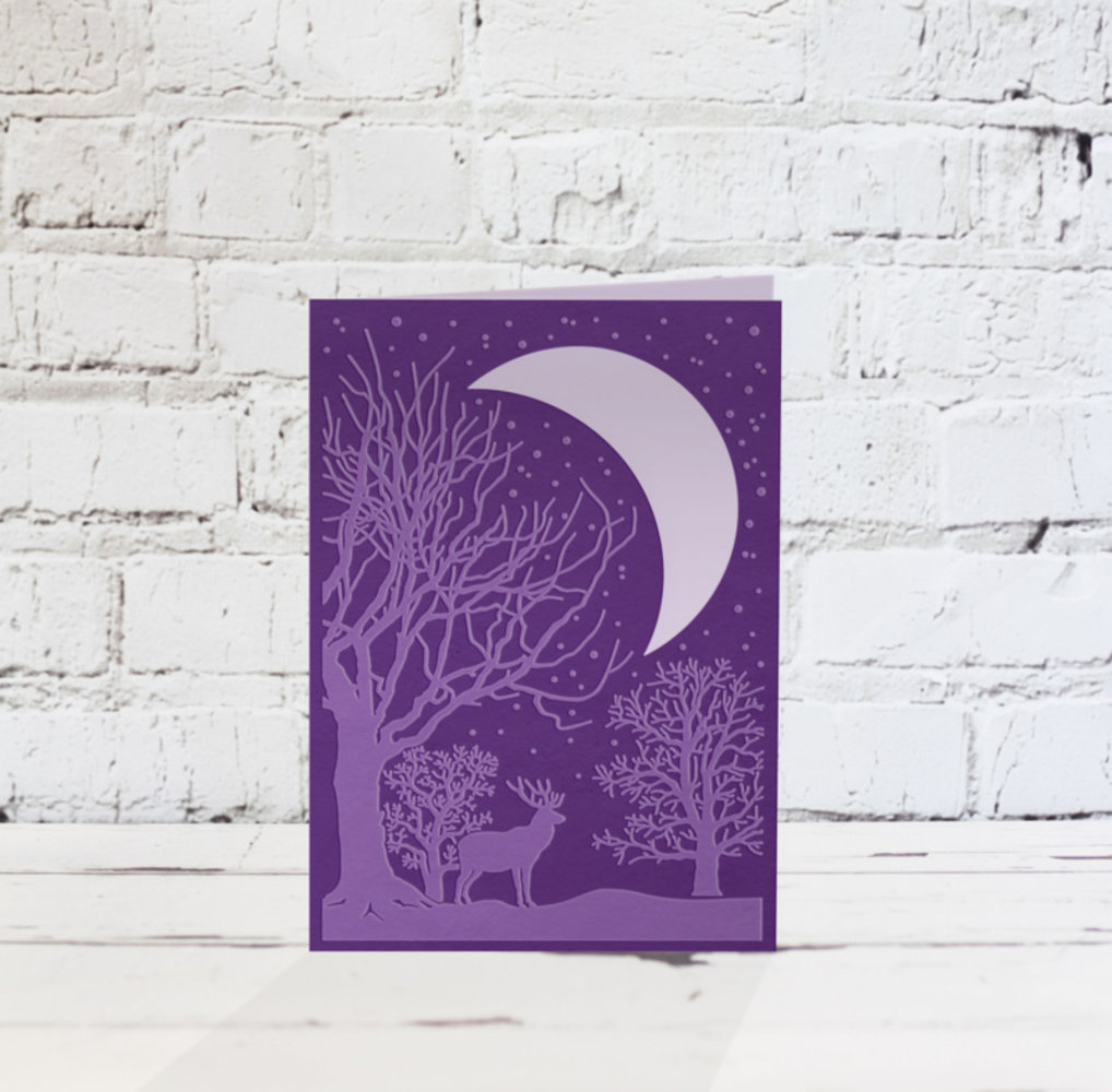 Gemini Winter Wonderland Cut & Embossing Folder (GEM-CEF-WWON) Gemini Winter Wonderland Cut & Embossing Folder (GEM-CEF-WWON)