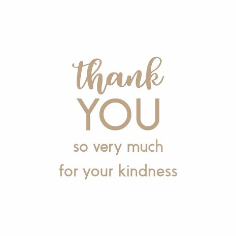 Spellbinders Thank You Combo Hot Foil Plate (GLP-145) Spellbinders Thank You Combo Hot Foil Plate (GLP-145)
