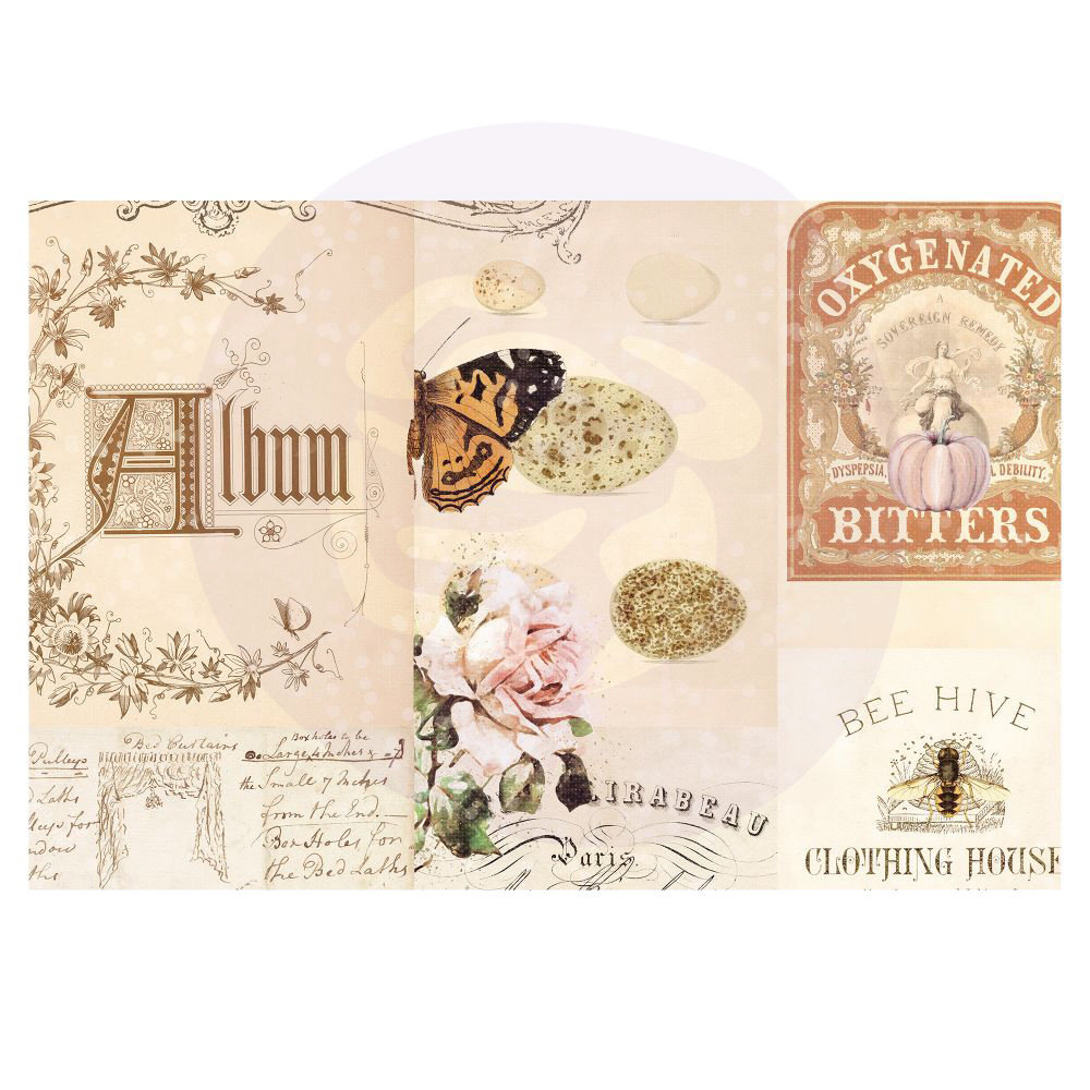 Prima Marketing Inc Autumn Sunset 4x6 Inch Journaling Cards (995522) Prima Marketing Inc Autumn Sunset 4x6 Inch Journaling Cards (995522)